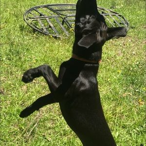 Meet your Posher, Ashlie